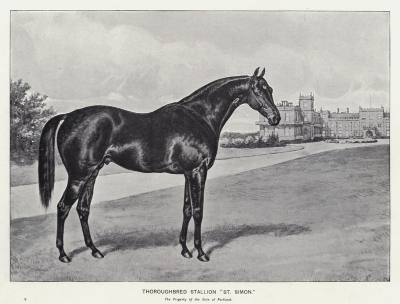 "St Simon" telivér mén (litho) alkotó: English School
