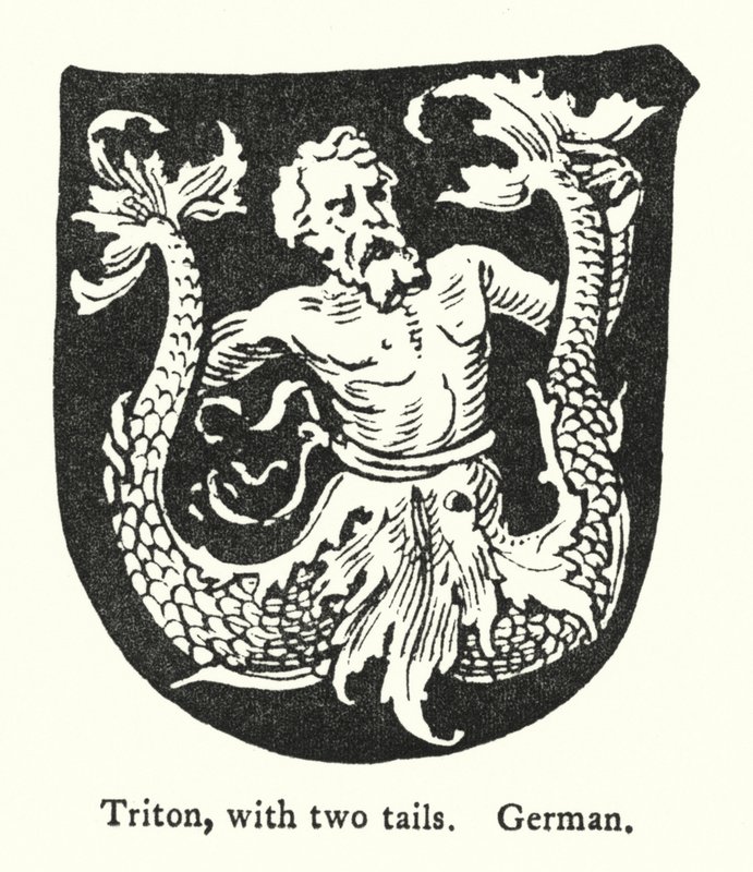 Triton, két farokkal, német (metszet) alkotó: English School