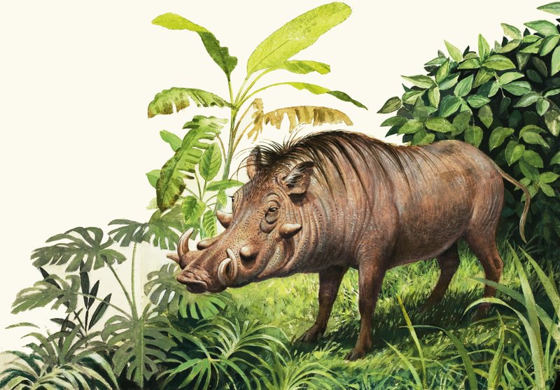 Warthog alkotó: English School