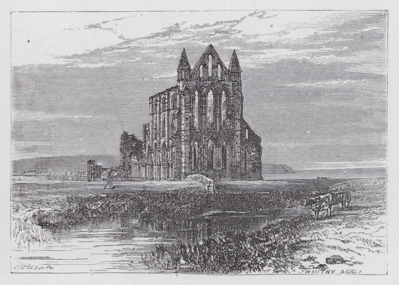 Whitby Abbey (metszet) alkotó: English School
