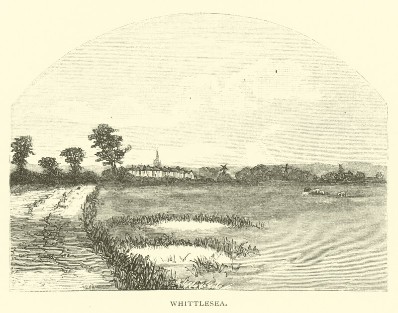 Whittlesea alkotó: English School