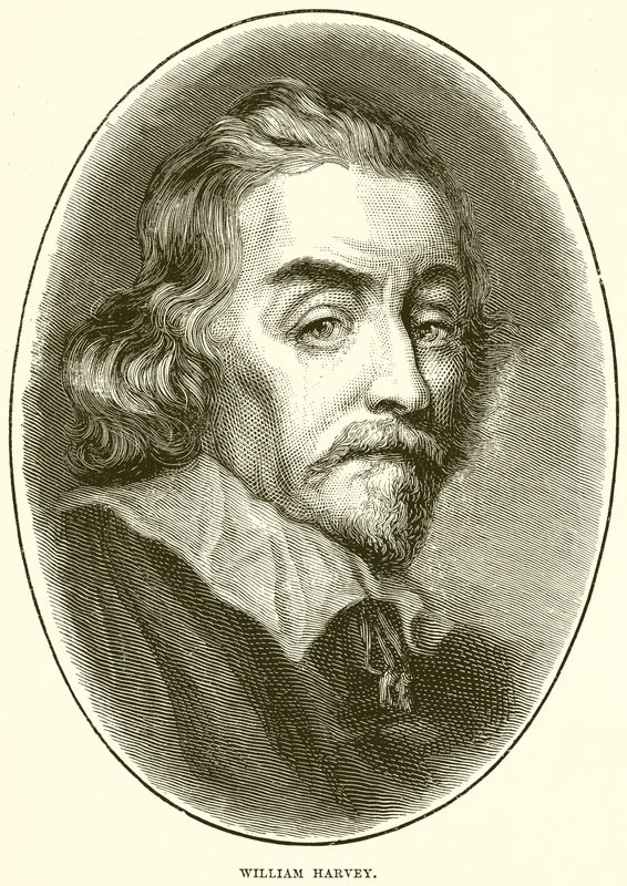 William Harvey alkotó: English School