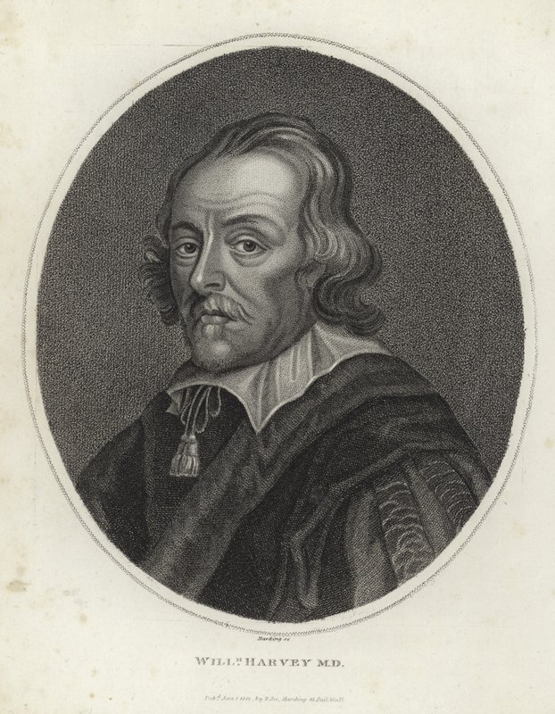 William Harvey alkotó: English School