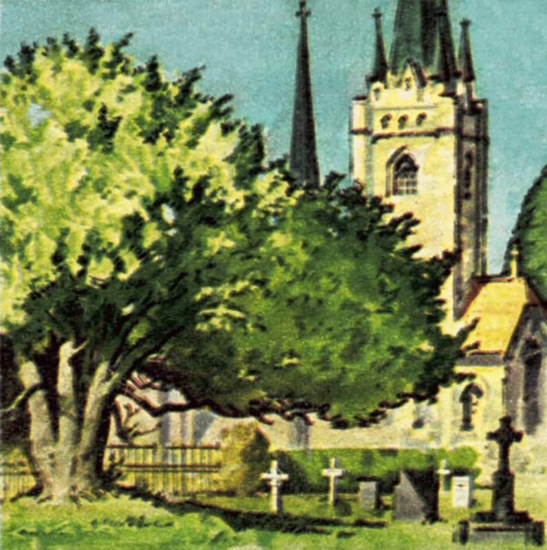 A tiszafa a templom udvarán alkotó: English School