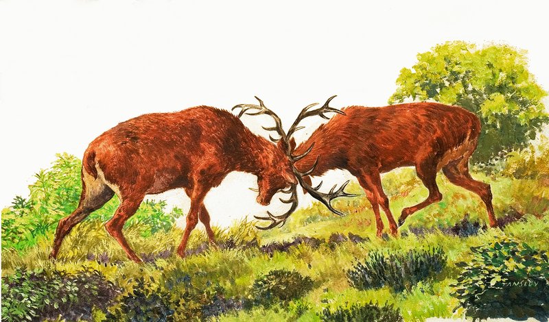Red Deer alkotó: Eric Tansley