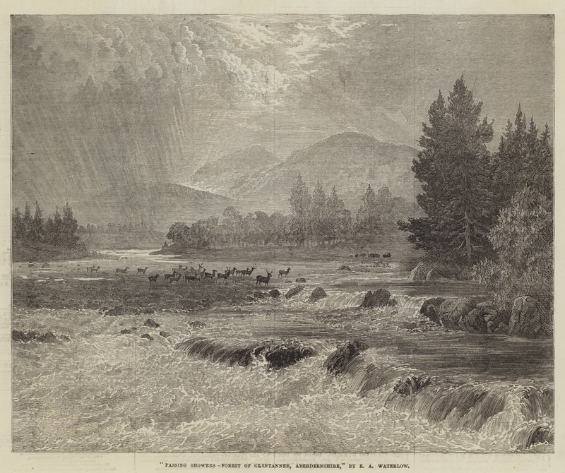 Elhaladó záporok, Glentanner-erdő, Aberdeenshire alkotó: Ernest Albert Waterlow