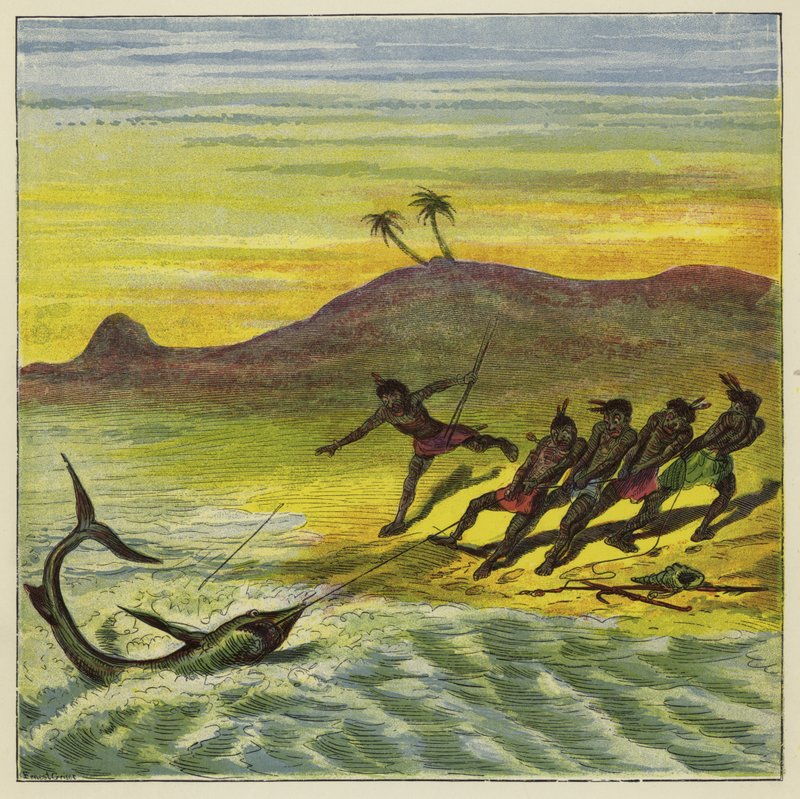 Cápa elfogása alkotó: Ernest Henry Griset