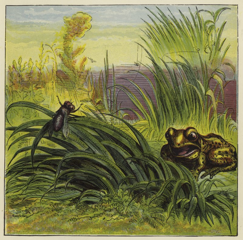 Béka és légy alkotó: Ernest Henry Griset
