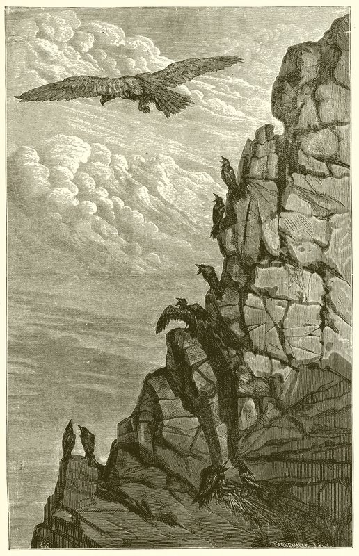 A sas és a varjú alkotó: Ernest Henry Griset