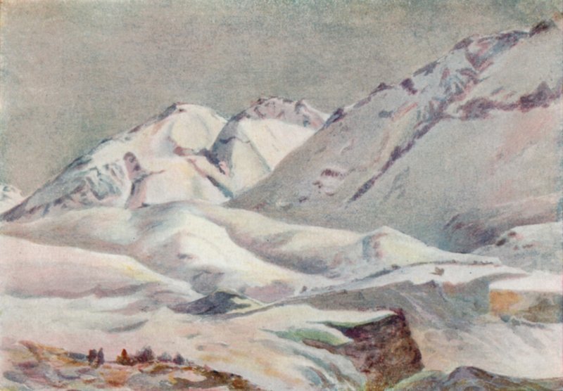 Andok (színes litho) alkotó: Ernest William Christmas