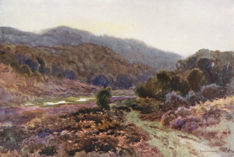 Broomy Water (színes litho) alkotó: Ernest William Haslehust