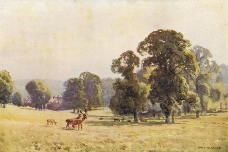 Cobham Park (színes litó) alkotó: Ernest William Haslehust