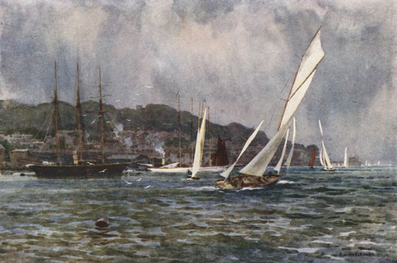 Tehenek (színes litó) alkotó: Ernest William Haslehust