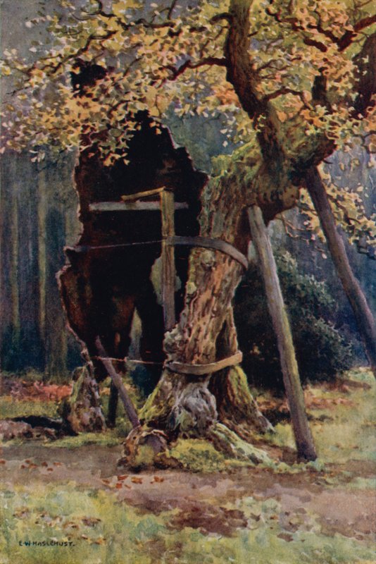 Robin Hood éléskamrája (színes litó) alkotó: Ernest William Haslehust