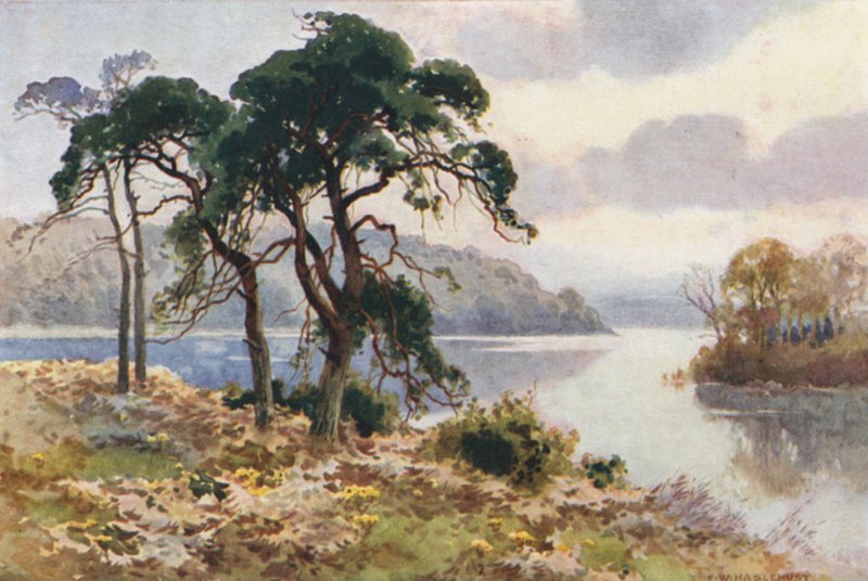 Virginia víz (színes litó) alkotó: Ernest William Haslehust