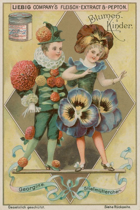 Dahlia és Pansy alkotó: European School