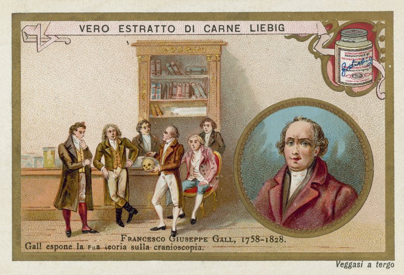 Franz Joseph Gall német neuroanatómus és fiziológus alkotó: European School