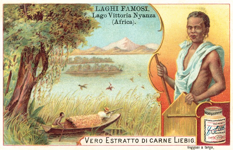 Victoria-tó, Afrika (chromolitho) alkotó: European School
