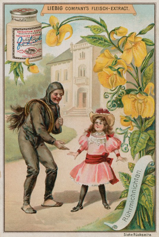 Mimóza alkotó: European School
