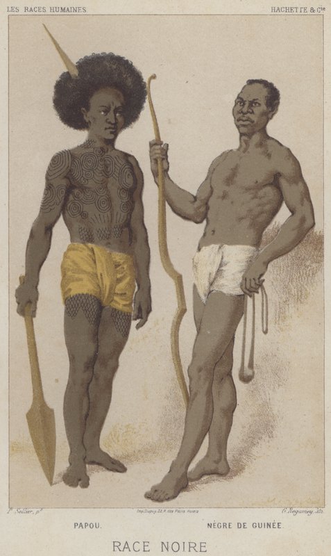 Fekete faj, pápua, fekete guineai (chromolitho) alkotó: European School