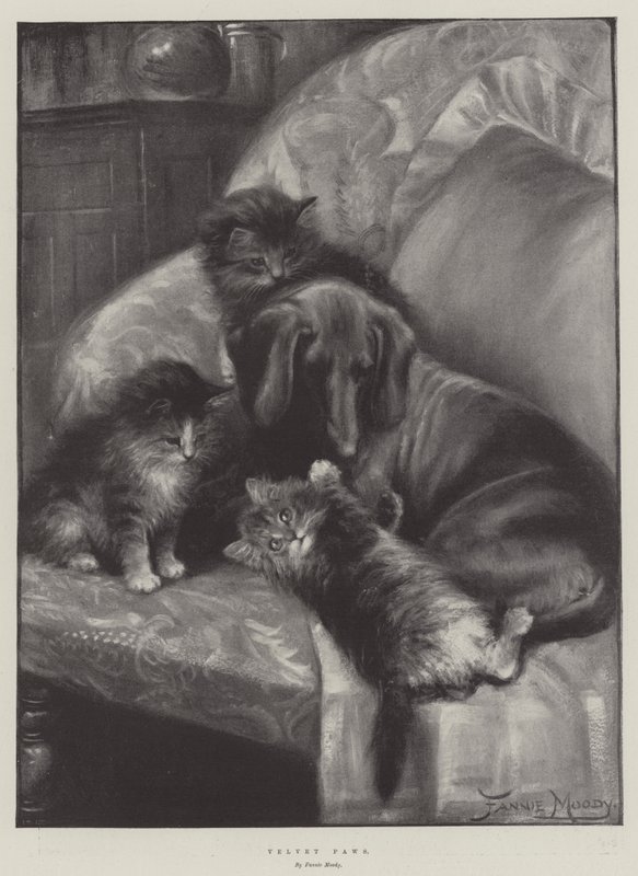 Bársonymancsok alkotó: Fannie Moody