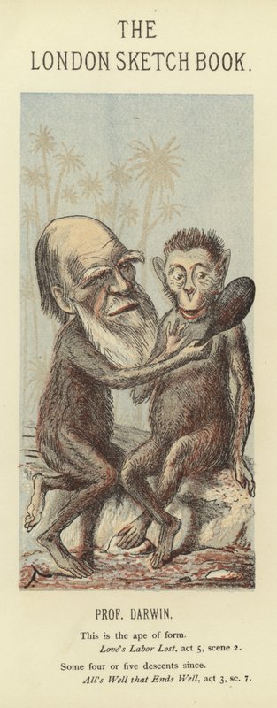 Charles Darwin karikatúrája alkotó: Faustin