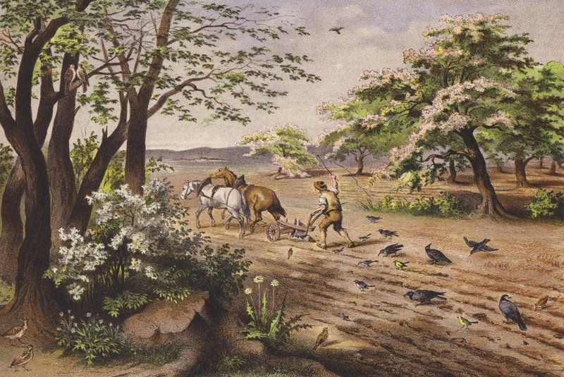 Április (színes litográfia) alkotó: Ferdinand Karl Klimsch
