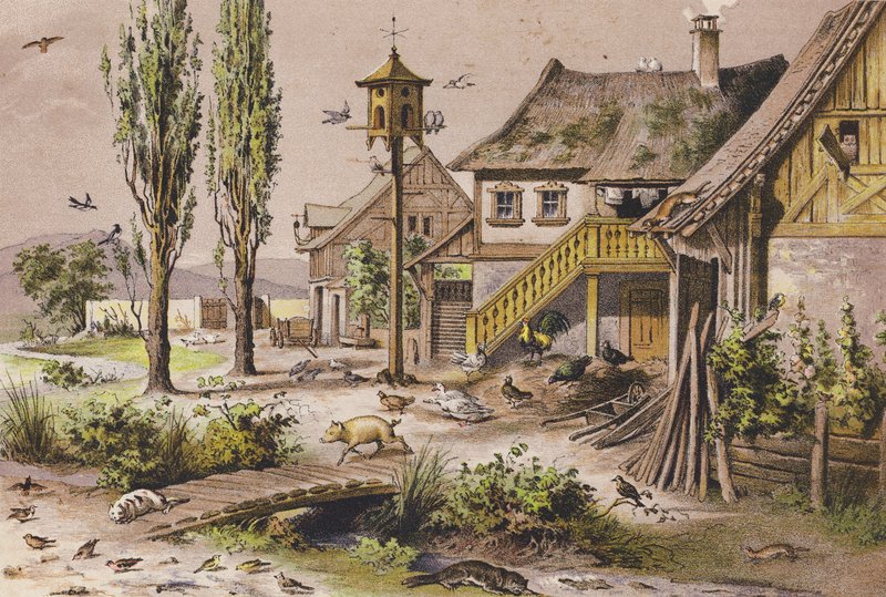 November (színes litográfia) alkotó: Ferdinand Karl Klimsch