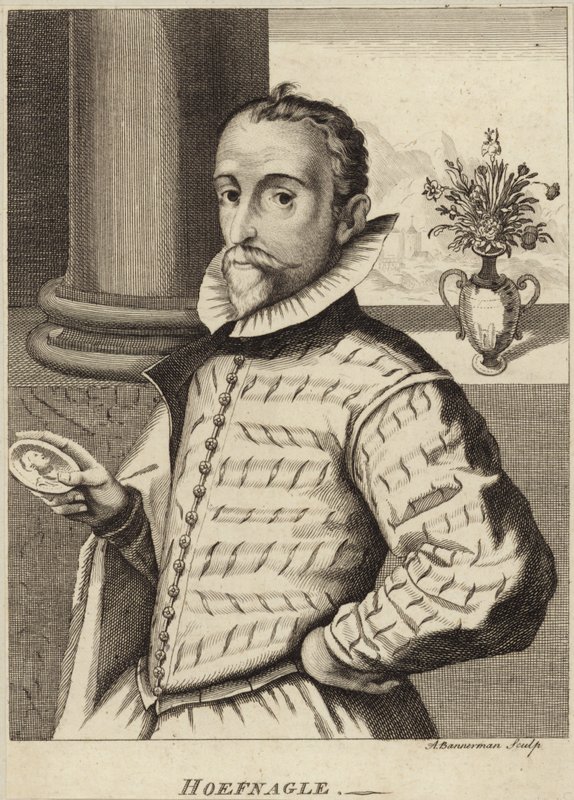 Joris Hoefnagel portréja alkotó: Flemish School