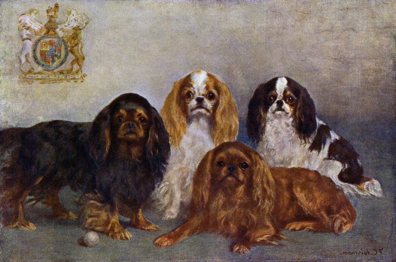 King Charles spánielek alkotó: Frances C. Fairman