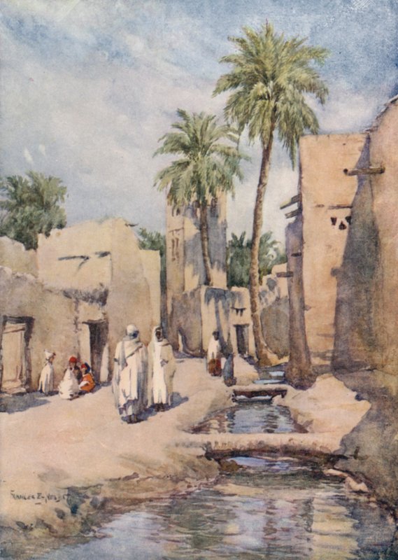 Biskra oázisa, Algéria alkotó: Frances Nesbitt