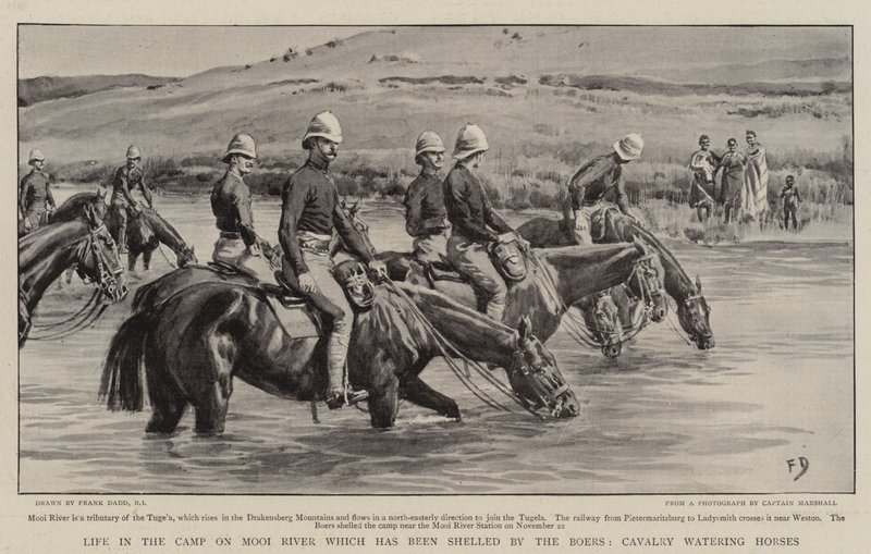 Élet a Mooi folyó táborában, amelyet a búrok ágyúztak, a lovasság lovakat itat. alkotó: Frank Dadd