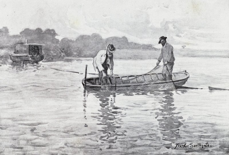 Norfolk Broads: Az angolnahüvelyek felhúzása alkotó: Frank Southgate