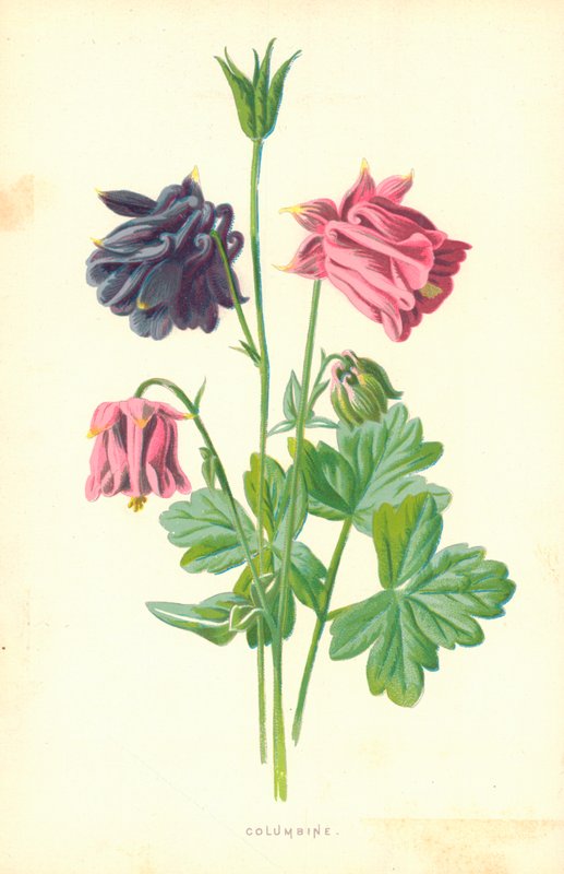Harangláb alkotó: Frederick Edward Hulme