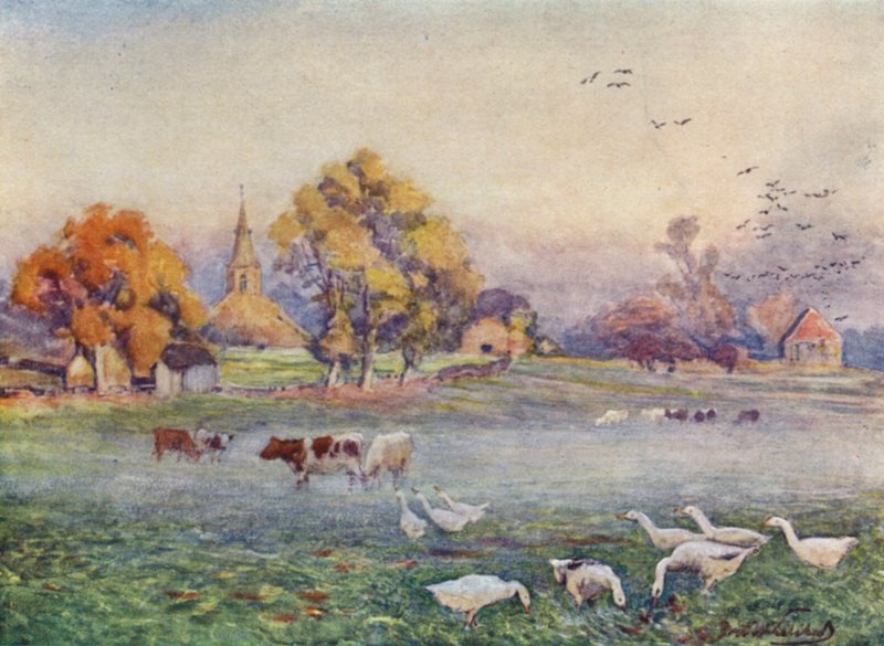 Az Abbey Fields, Kenilworth alkotó: Frederick William Newton Whitehead