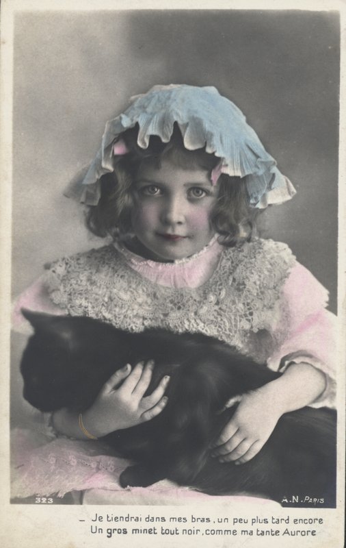 Kislány macskával alkotó: French Photographer