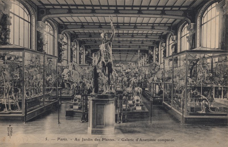Párizs, Jardin Des Plantes alkotó: French Photographer