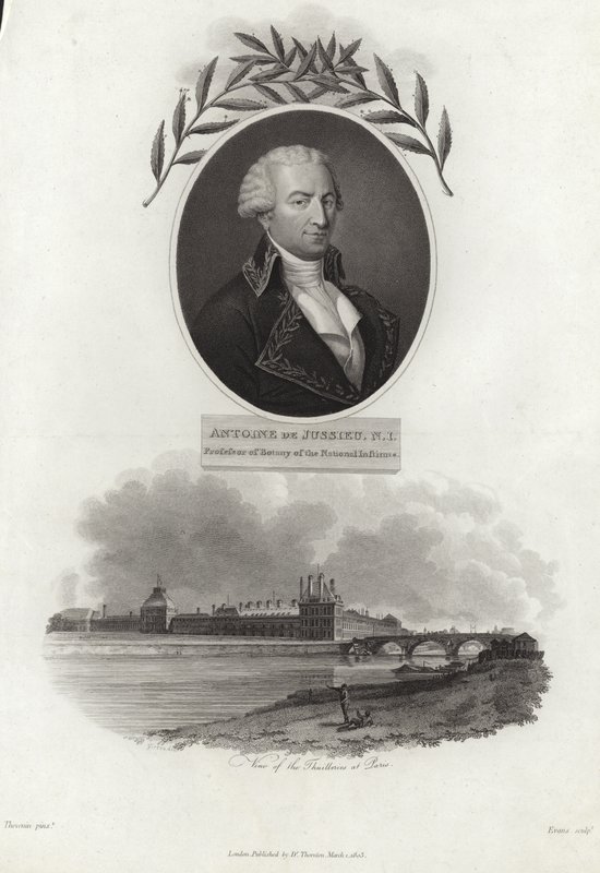 Antoine de Jussieu alkotó: French School