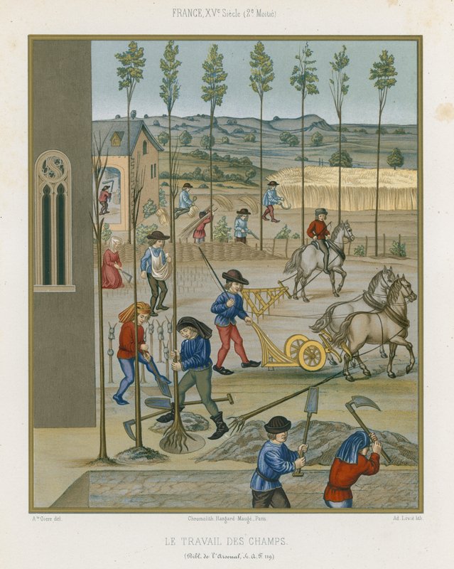Terepmunka alkotó: French School