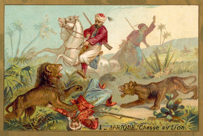 Vadászoroszlán Afrikában (chromolitho) alkotó: French School