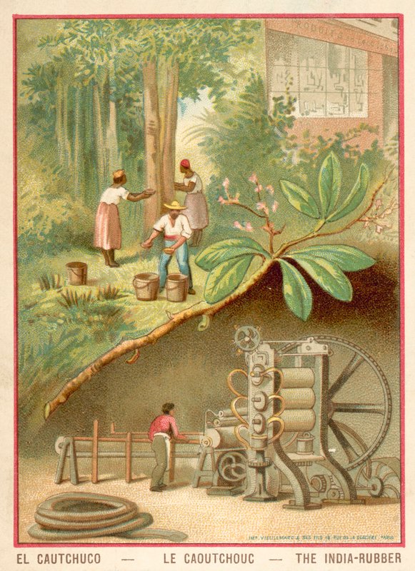 Indiai gumi (chromolitho) alkotó: French School