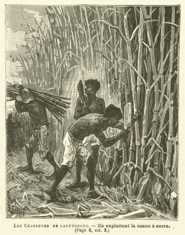 The Rubber Hunters (metszet) alkotó: French School