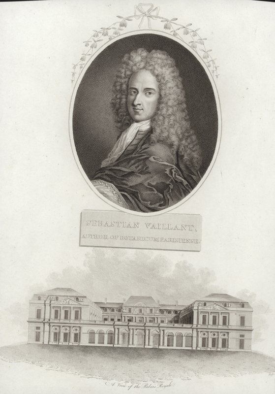 Sebastien Vaillant alkotó: French School