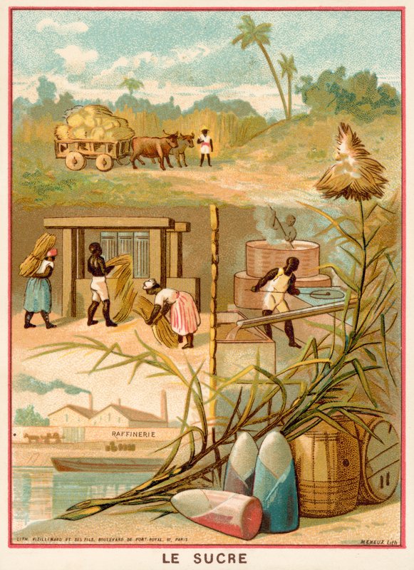 Cukor (kromolito) alkotó: French School