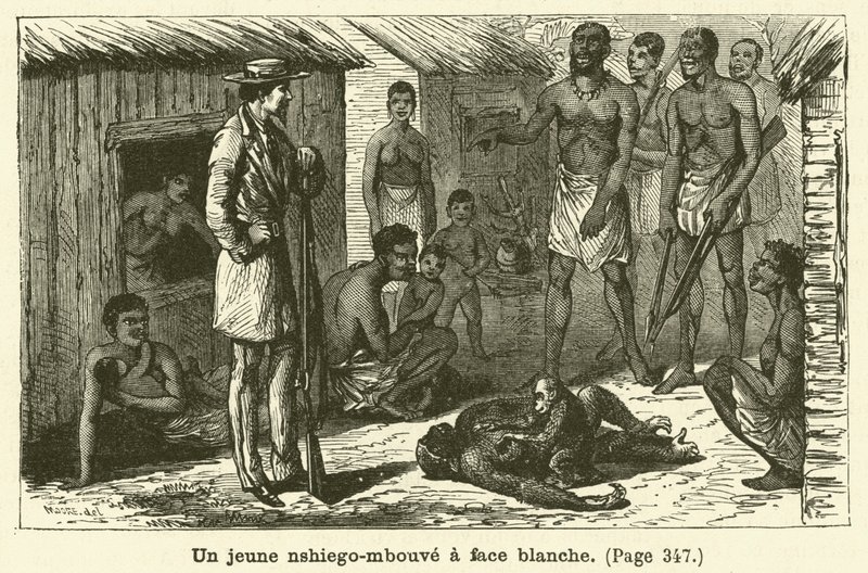 Egy fiatal, fehér arcú nshiego-mbouve (metszet) alkotó: French School