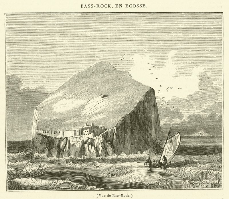 Vue de Bass-Rock (metszet) alkotó: French School
