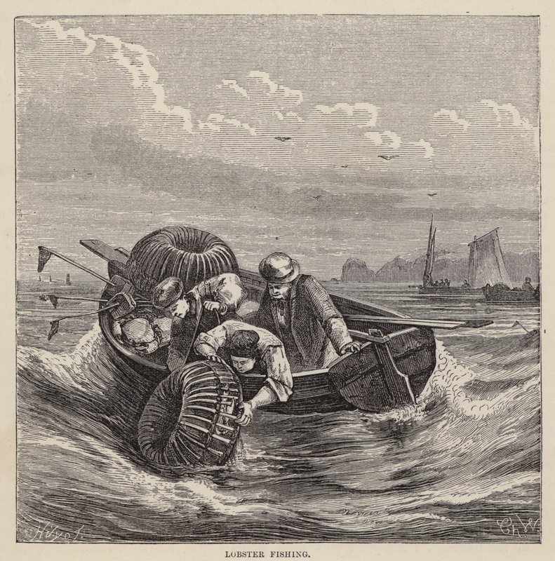 Homárhalászat (színes gravírozás) alkotó: Friedrich Specht