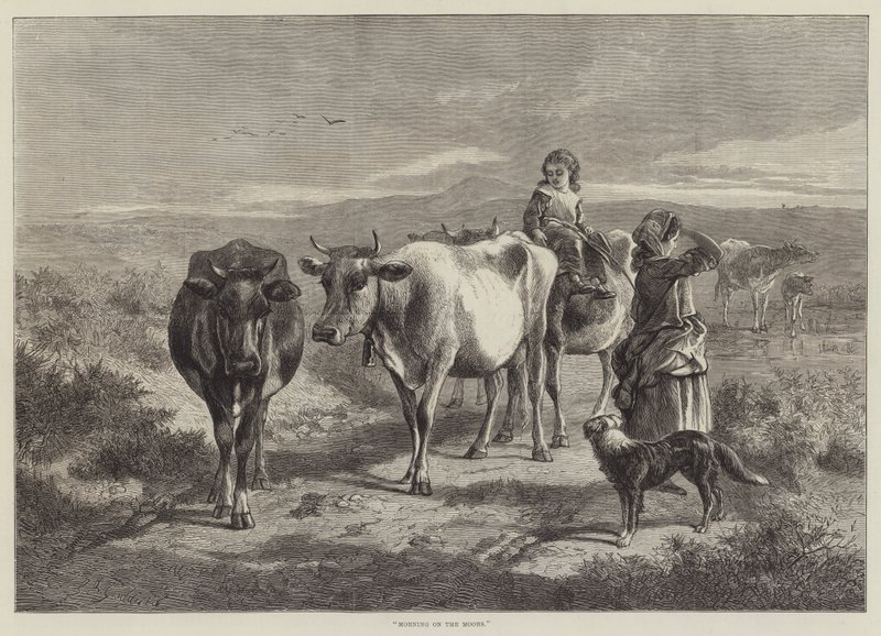 Reggel a móron alkotó: George Bouverie Goddard
