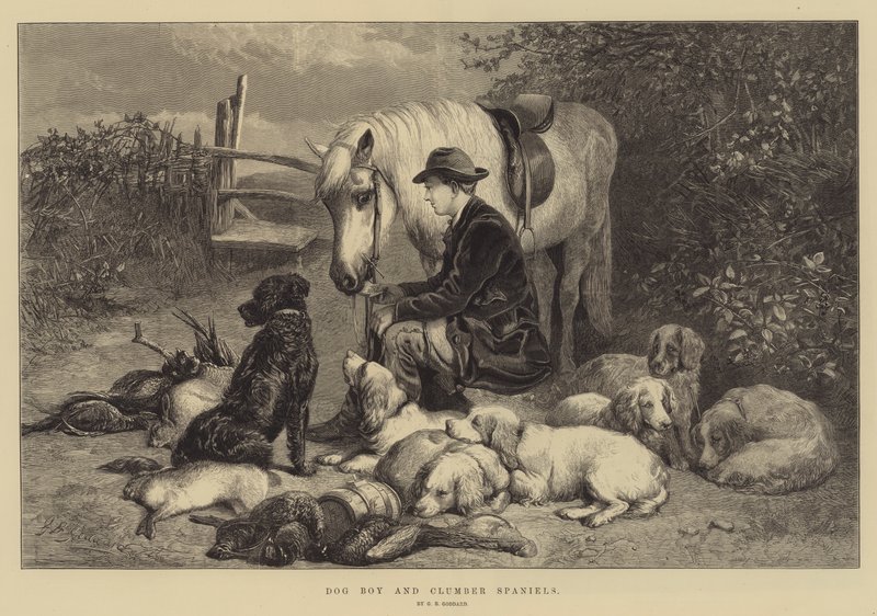 Dog Boy és Clumber spánielek alkotó: George Bouverie Goddard