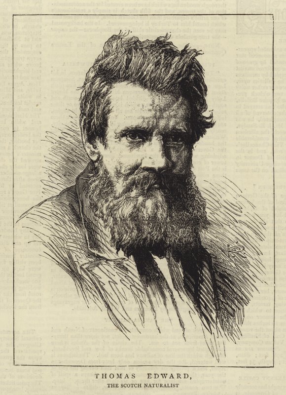 Thomas Edward alkotó: George Reid